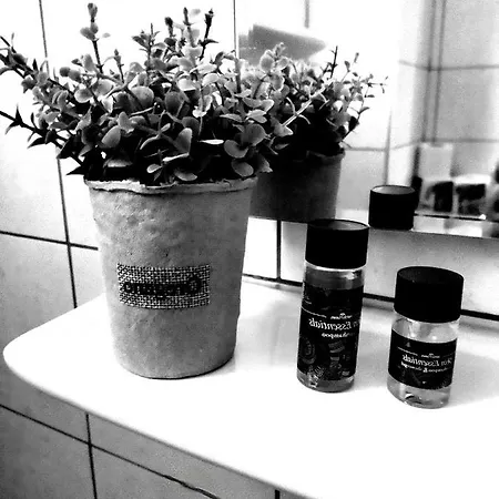 מלון διεθνές זכארו