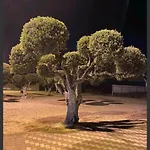 διεθνές *
