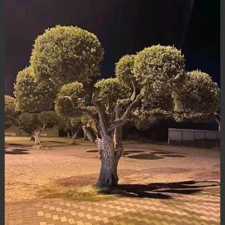 διεθνές *