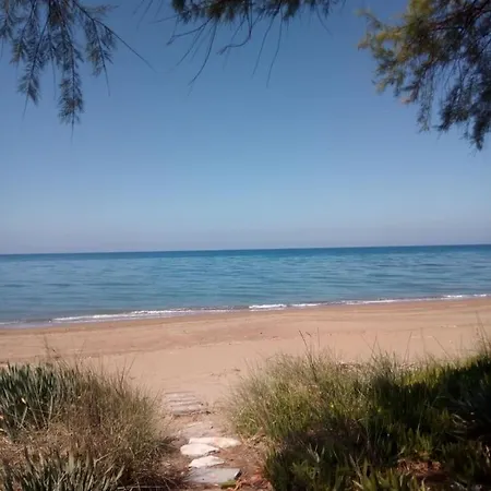 διεθνές * Zacharo