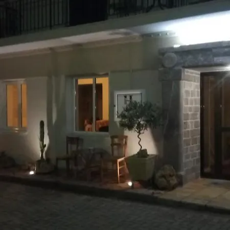 διεθνές זכארו