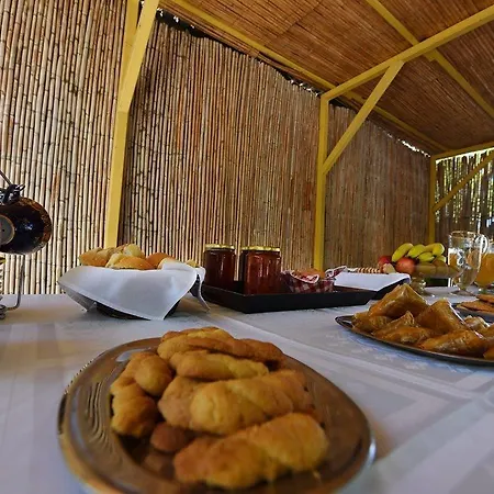 διεθνές Zacharo