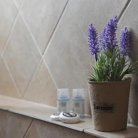 διεθνές Hotel *