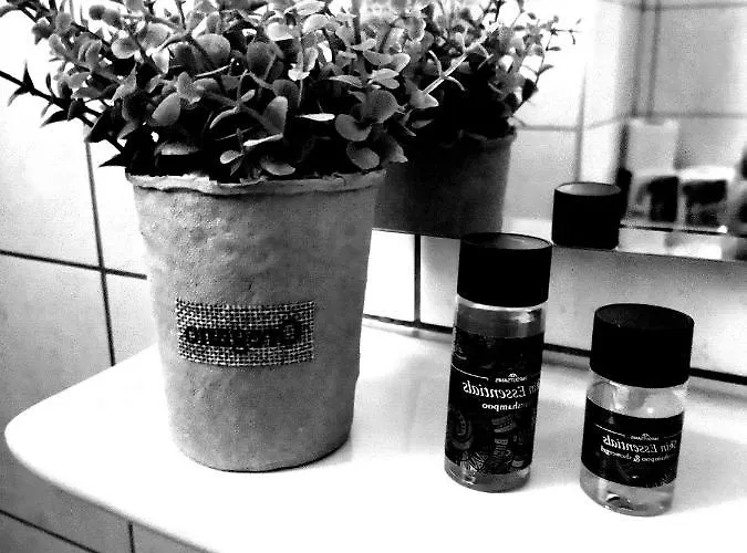 Hotel διεθνές Zacharo